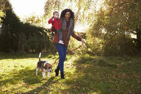 Мать с ребенком выгуливает собаку в осеннем саду — стоковое фото