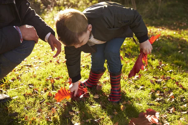 Junge und Vater spielen im Garten — Stockfoto