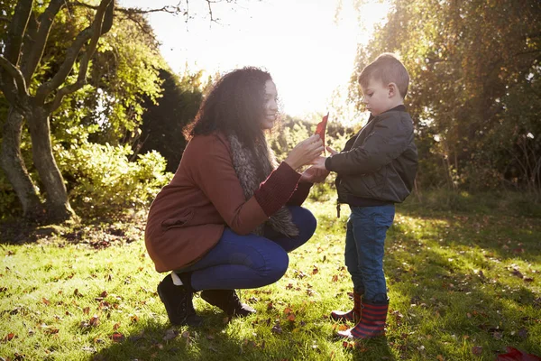 Niño y madre jugando con hojas de otoño — Foto de Stock