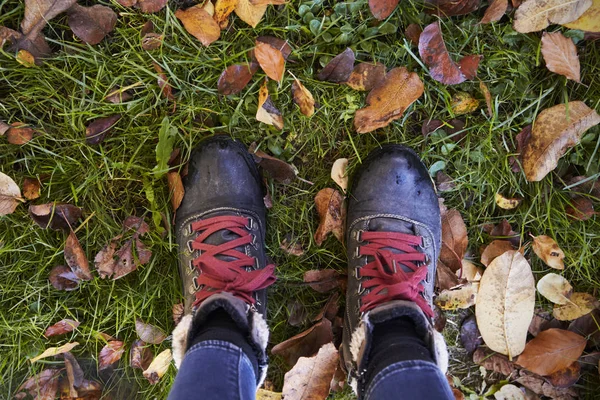 Botas de mujer en hojas de otoño —  Fotos de Stock