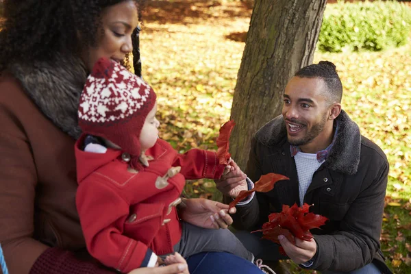 Ouders met dochter op de schommel boom — Stockfoto