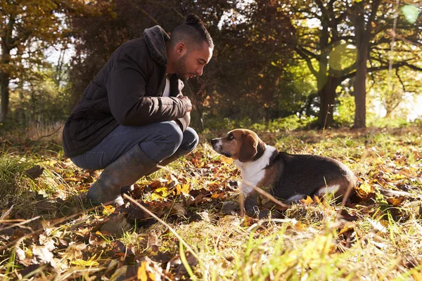 Mann übt Hund im Herbstwald aus — Stockfoto