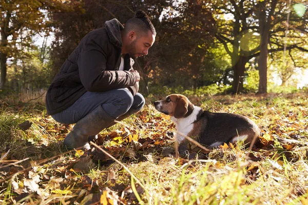 Hombre ejercitando perro en bosque de otoño — Foto de Stock