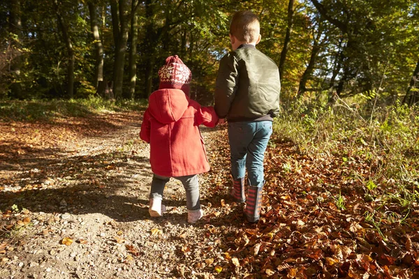 Los niños en otoño a pie —  Fotos de Stock