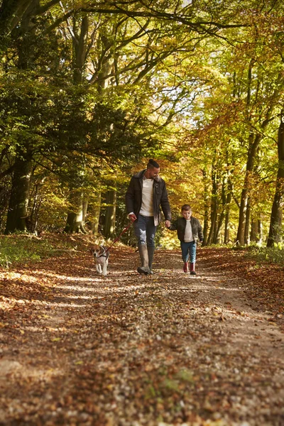 Pai e filho andando cão — Fotografia de Stock