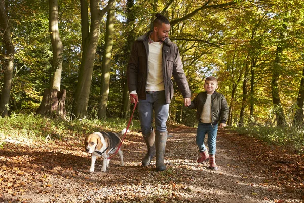 Pai e filho andando cão — Fotografia de Stock