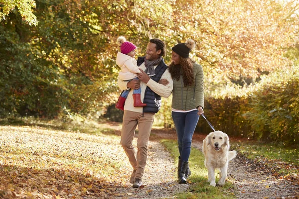 Famiglia con figlia e cane — Foto Stock