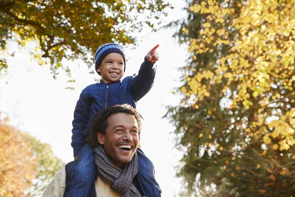 De boekwaarde zoon van de vader op schouders — Stockfoto