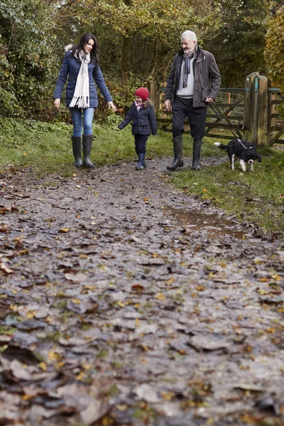 Familjen ta hunden på promenad — Stockfoto