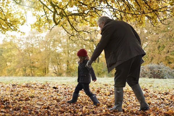 Nonno e nipote Kicking Leaves — Foto Stock