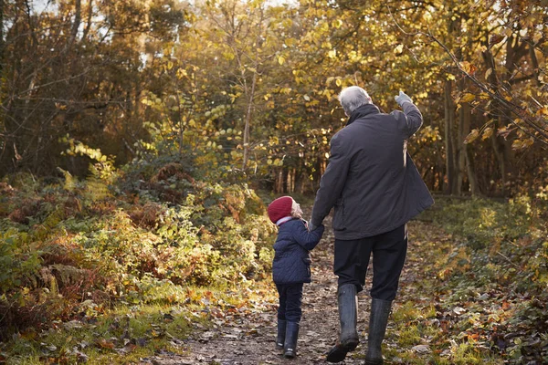 Παππούς και εγγονή απολαμβάνοντας το φθινόπωρο με τα πόδια — Φωτογραφία Αρχείου