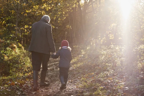 Abuelo y nieta disfrutando de la caminata de otoño — Foto de Stock