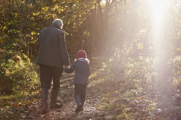 Grand-père et petite-fille profitant de la promenade d'automne — Photo