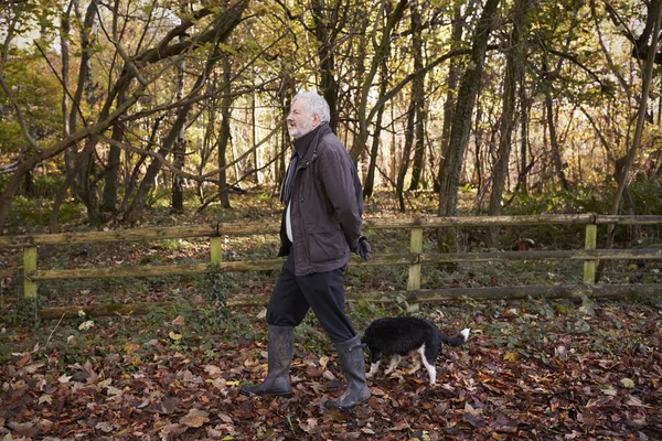 Köpeği yürüyüşe çıkaran adam. — Stok fotoğraf