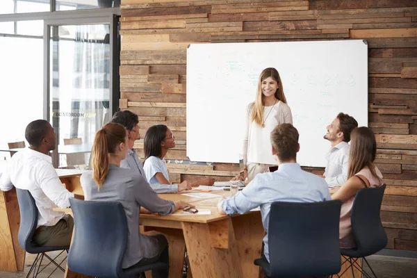 Frau hält Vortrag — Stockfoto