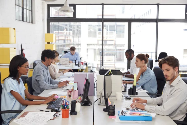 Jovens colegas a trabalhar — Fotografia de Stock