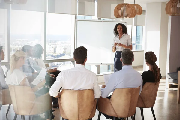 Mujer de negocios haciendo presentación — Foto de Stock