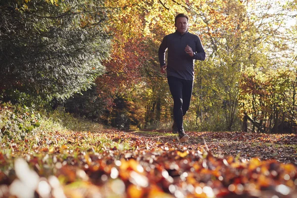 Man loopt via herfst bos — Stockfoto