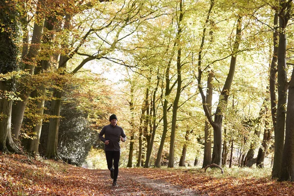 Man loopt via herfst bos — Stockfoto