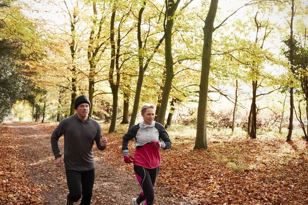 Paar läuft durch Herbstwald — Stockfoto