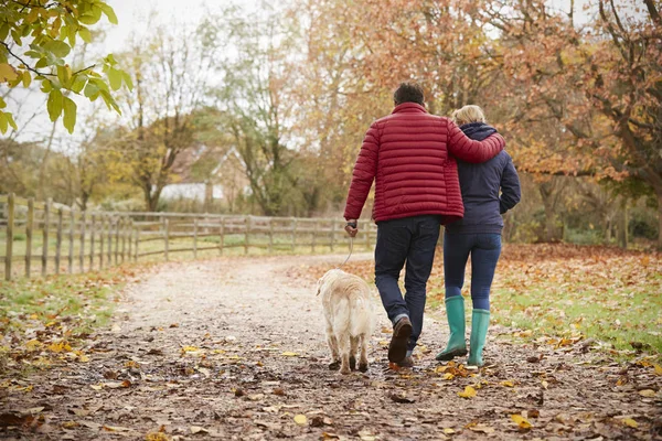 Pari syksyllä kävellä labradorin kanssa — kuvapankkivalokuva