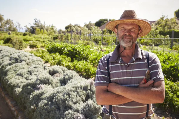 Mature man workingat countryside allotment — Stock Photo, Image