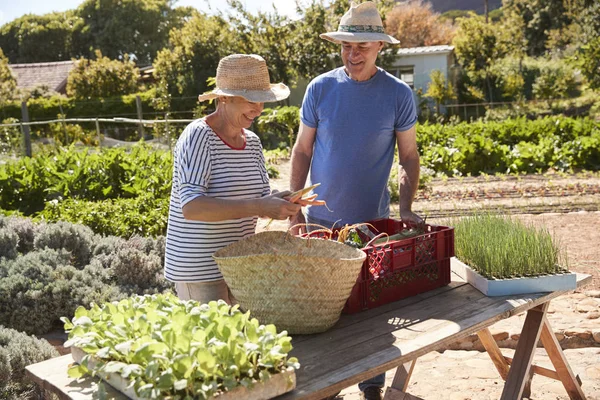 Mature couple standing at countryside garden — Stock Photo, Image