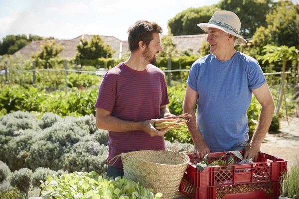 Family members at countryside garden — Stock Photo, Image