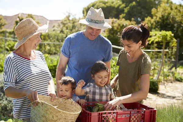 Leden van de familie op de tuin van het platteland — Stockfoto