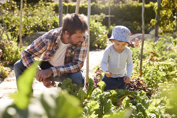 Vader en kind samen te werken in tuin — Stockfoto