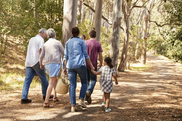 Família se divertindo andando ao ar livre — Fotografia de Stock