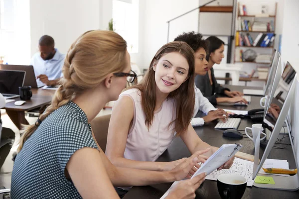 Kvinnan utbildning ny medarbetare på kontor — Stockfoto