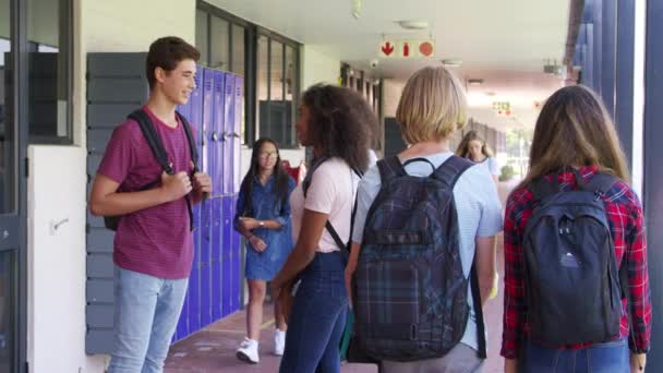 Compañeros de clase de pie y hablando en el pasillo — Vídeos de Stock