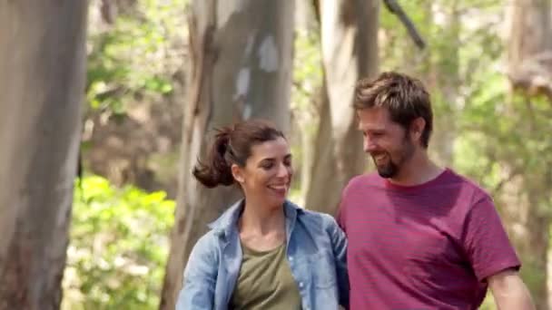 Romantikus pár gyaloglás együtt — Stock videók