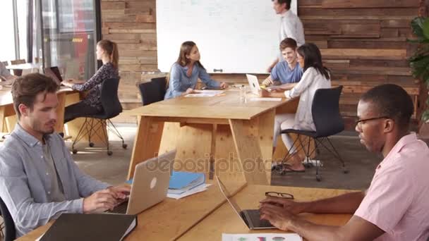 Mladí kolegové pracují v kanceláři — Stock video