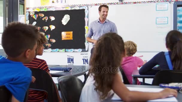 Enseignant prenant des leçons en classe — Video