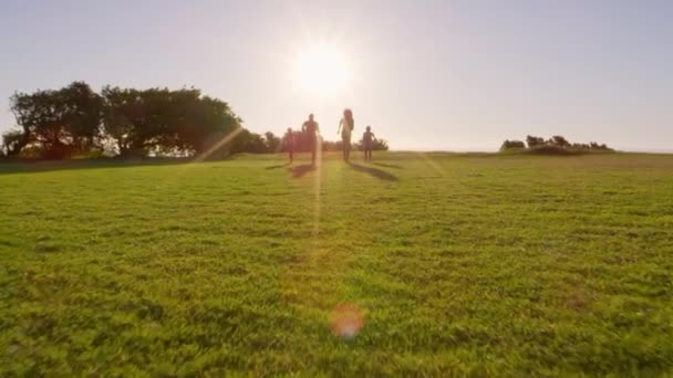 Junge schwarze Familie läuft in Park — Stockvideo