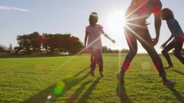 Молодая чёрная семья играет в поле — стоковое видео
