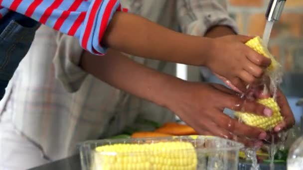 Hija ayudando a la madre a preparar verduras — Vídeo de stock