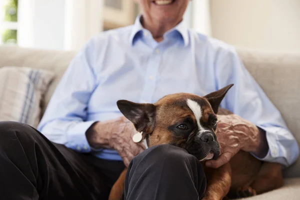 Uomo anziano con animale domestico Bulldog francese — Foto Stock