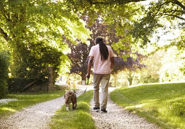 Senior Man promenader med sällskapsdjur Bulldog — Stockfoto