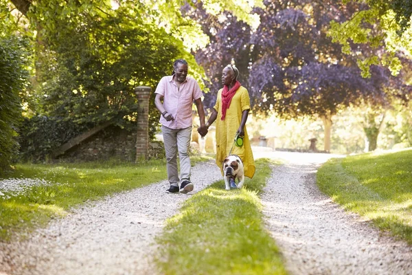 Senior Couple Walking With Pet