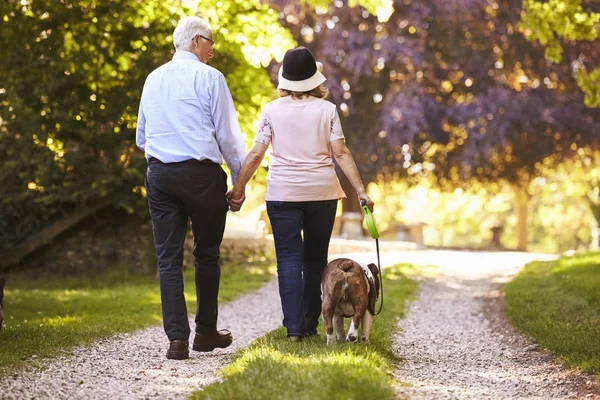 Coppia anziana a piedi cane da compagnia Bulldog — Foto Stock