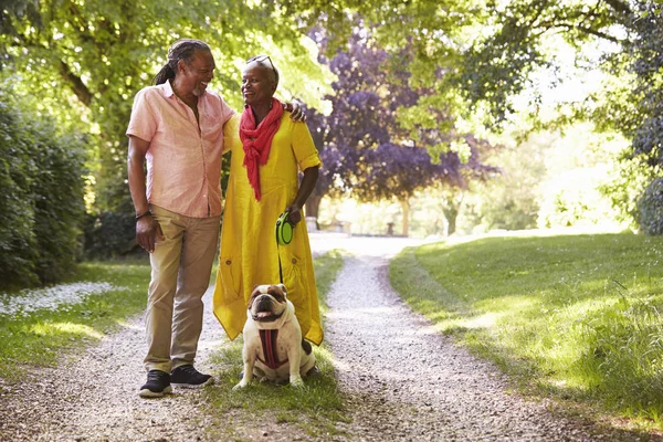 Couple aîné marchant avec animal de compagnie — Photo