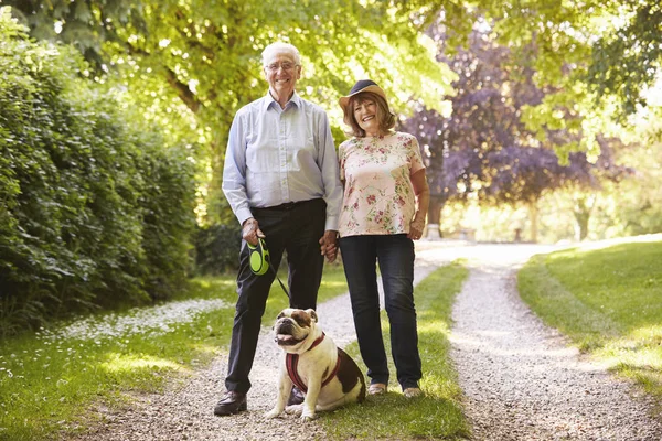 Coppia anziana a piedi con cane da compagnia Bulldog — Foto Stock