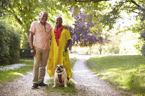 Casal Sênior Caminhando com Pet Bulldog — Fotografia de Stock