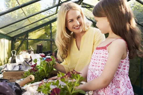 Mor och dotter plantering korg i växthus — Stockfoto