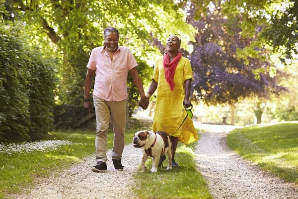 Couple aîné marchant avec animal de compagnie — Photo