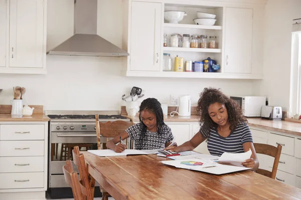 Dvě sestry dělat domácí úkoly — Stock fotografie