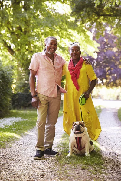 Senior pareja caminando con mascota bulldog — Foto de Stock